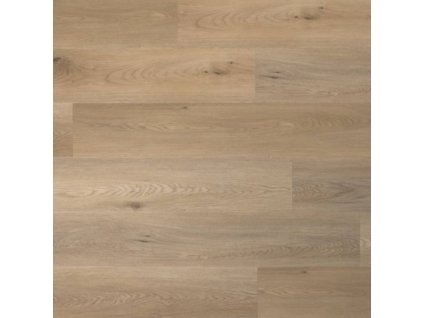 tarn z podkladem chestnut tar 849 ib ac55mm