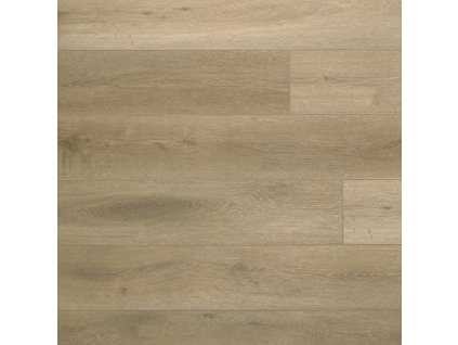 beach yuk 2625 ib ac5 5mm