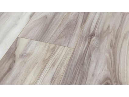 MV867 1380 244 V4 Area A2 small size