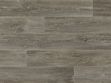 xtreme lime oak 976m