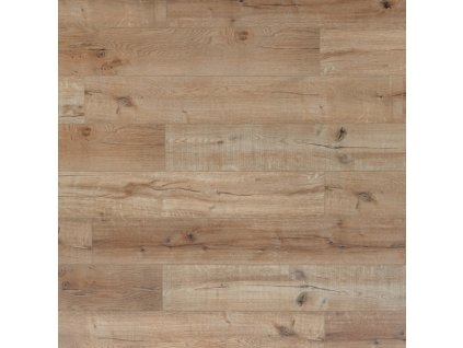 Bestlaminate BLADH-3204 Evropský dub