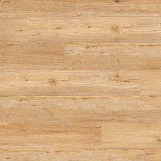 Gerflor Creation 55 0347 Ballerina