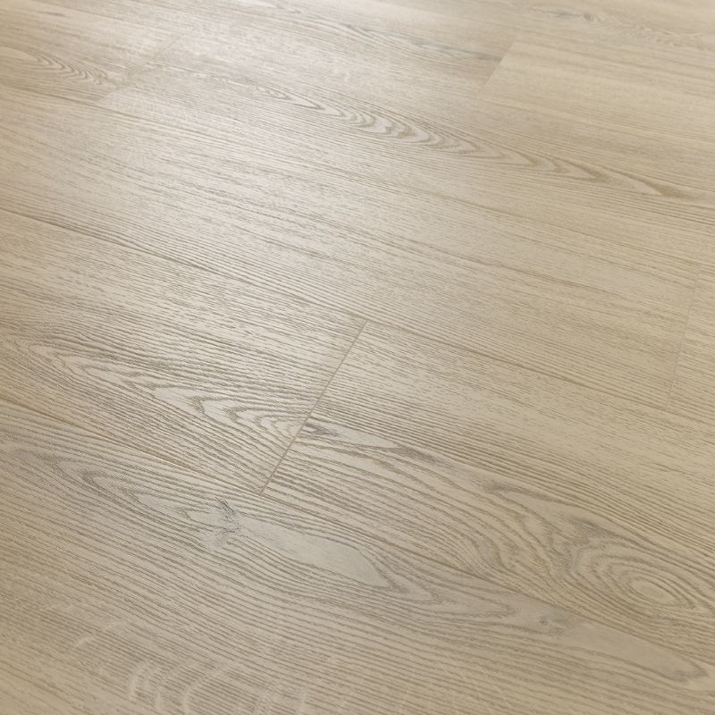 Arbiton Woodric Eir Dub Brandon CWS 203