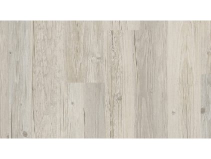 top silence 0007 carvalho