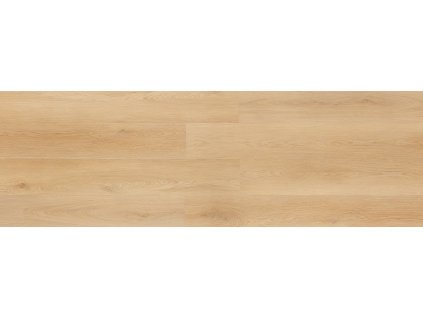 Laxe NF10138