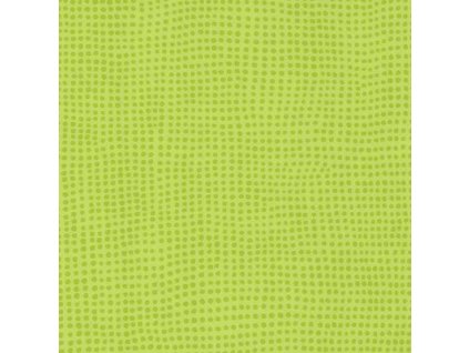 0515 Diversion Kiwi