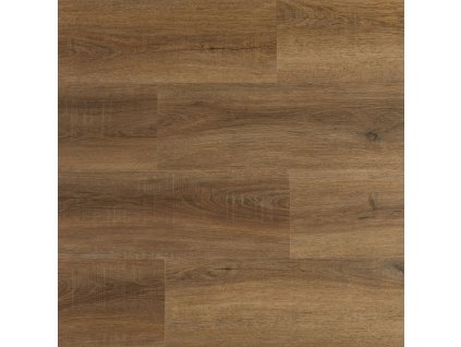 Dub Starý bladc 3309 1