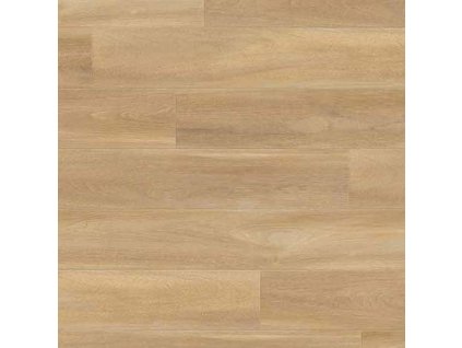 0851 Bostonian Oak Honey