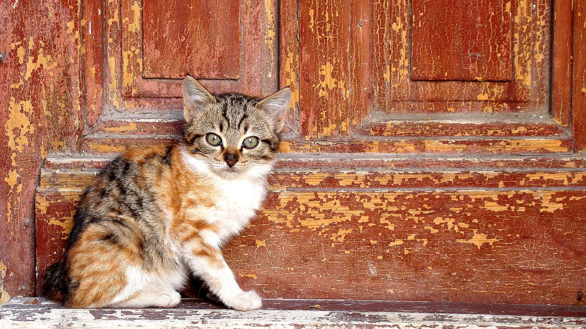Dveře a zárubně – charakter vašeho bydlení