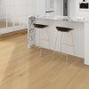 Oak Cashmere PUW 903(plank) (2)