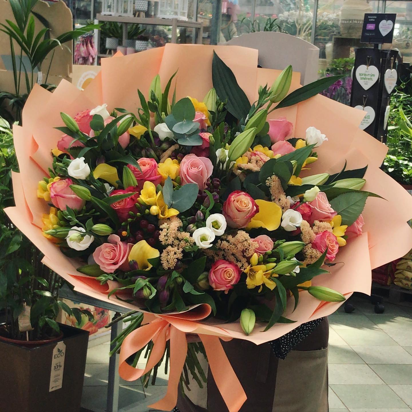 POZOR: Zahradní centrum na Jáchymovské má o lednových nedělích zavřeno