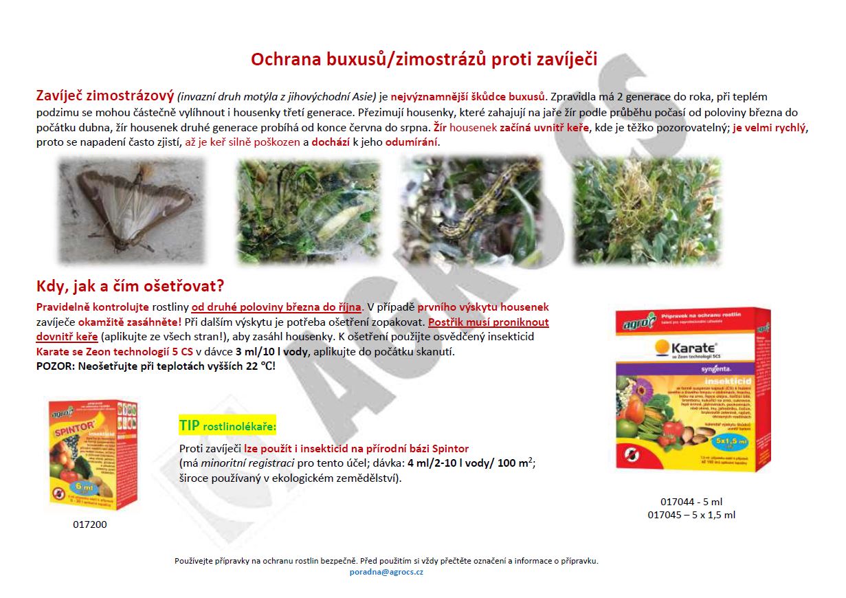 Bojujte včas a účinně se škůdci na buxusech