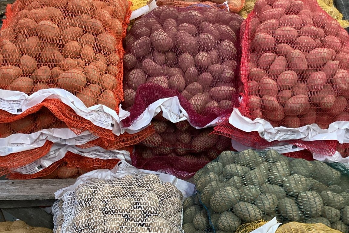 Sadbové brambory skladem - v prodeji různé odrůdy!