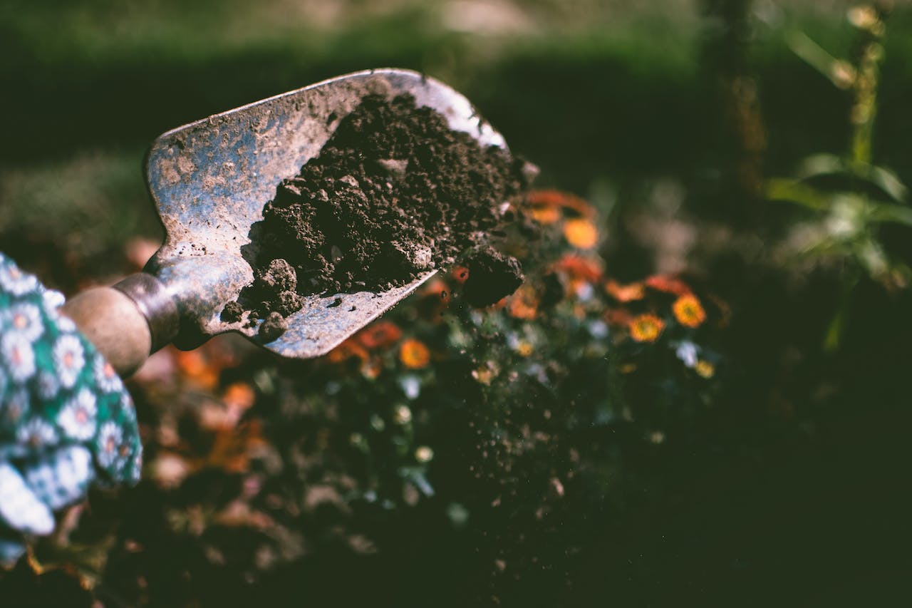 Nezapomeňte na ošetření půdy po sklizni - využijte výhody Trichodermy