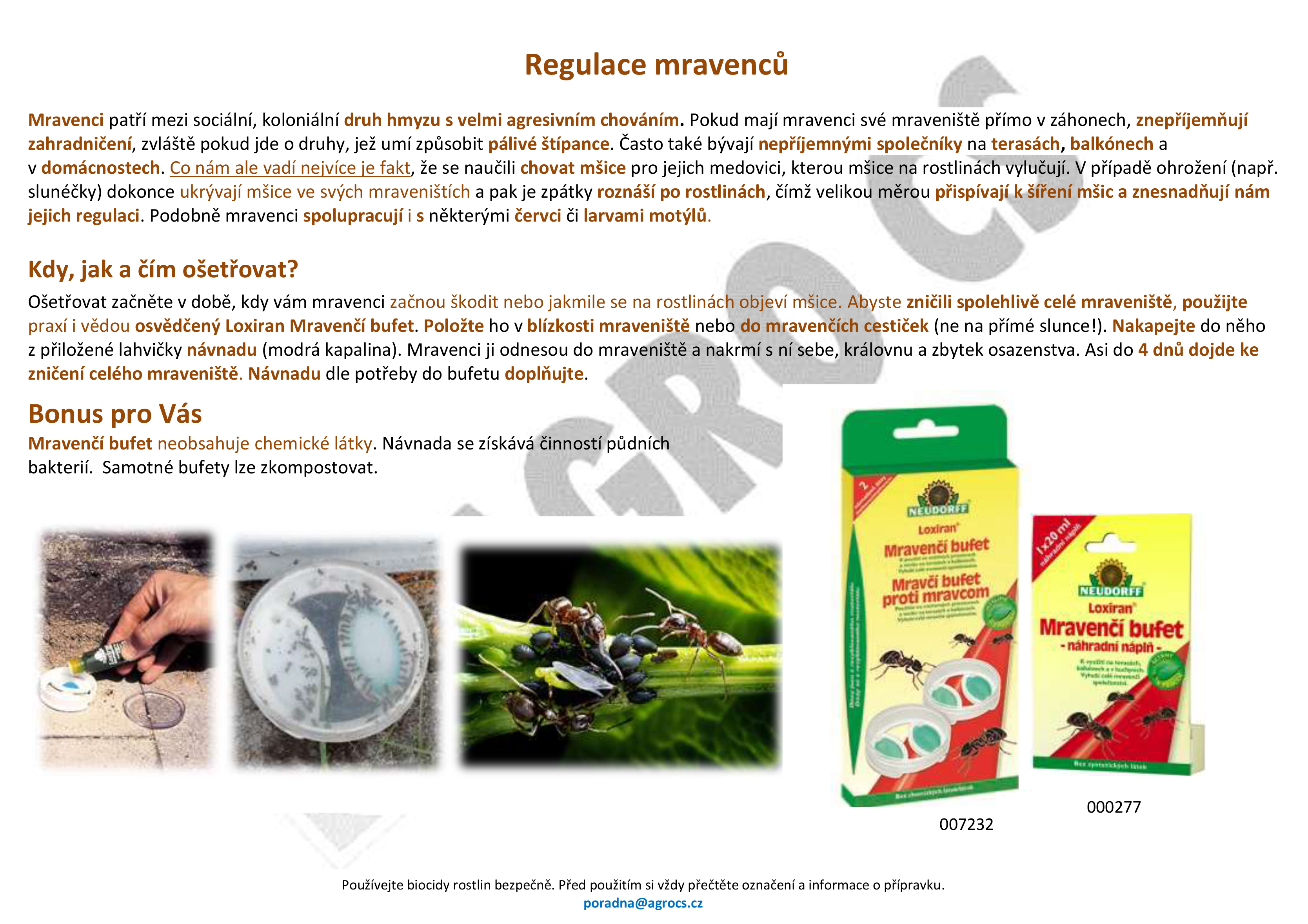 Regulace mravenců v záhonech