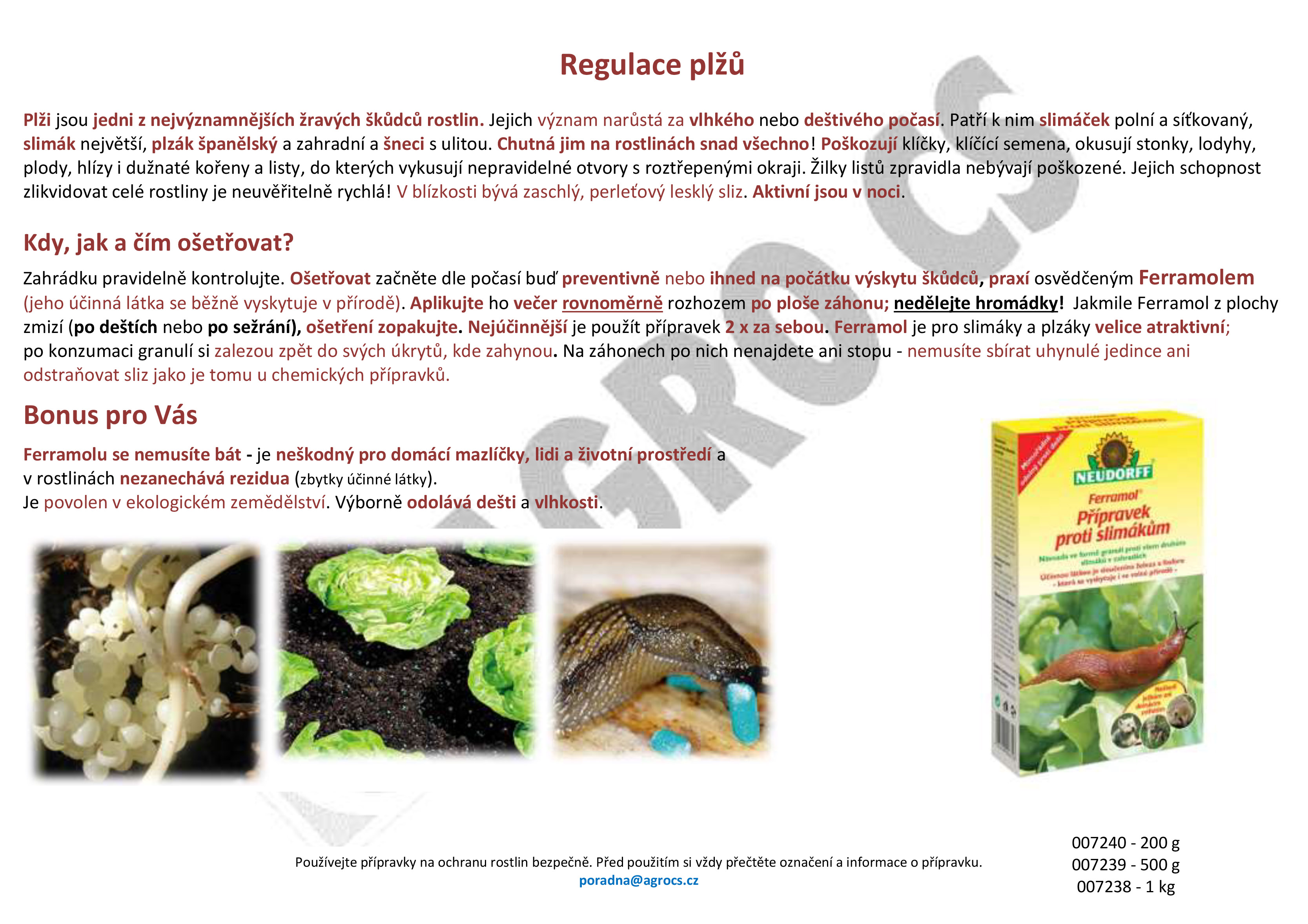 Zbavte se slimáků a jiných plžů účinně a ekologicky