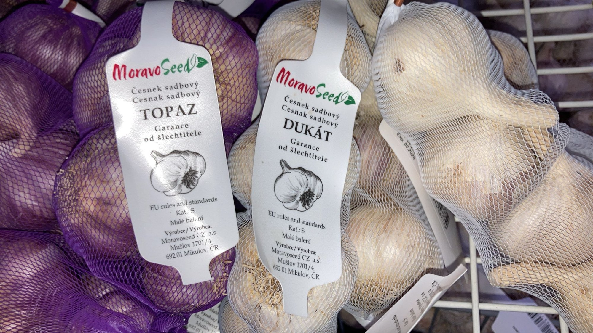 Ideální doba pro výsadbu ozimého česneku - 6 odrůd v nabídce!