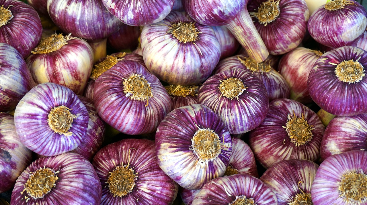 garlic-gb43b2bce7_1280