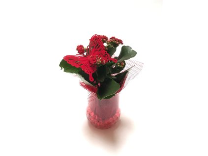 Osázené sklo motýl