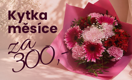 Kytka měsíce