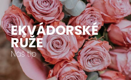 Ekvadorske růže