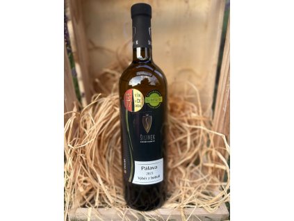 WhatsApp Image 2025 11 14 at 10.41.28 (4)