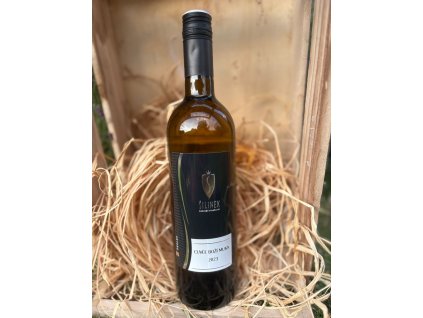 WhatsApp Image 2025 11 14 at 10.41.28 (2)