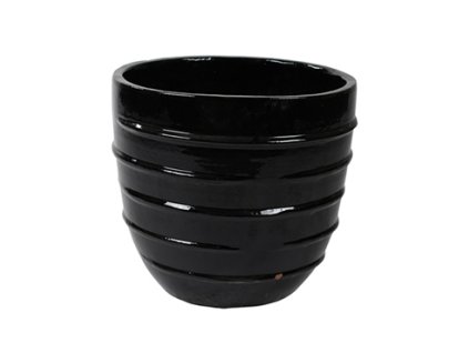 Black Shiny Couple Beauty