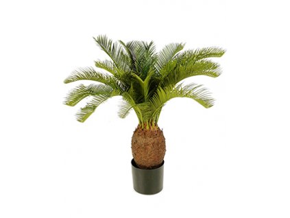 Cycas umělá rostlina