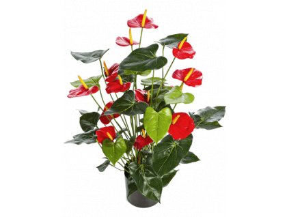 anthurium umělá