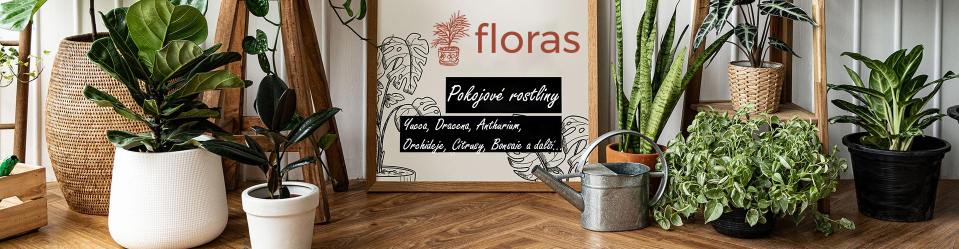 Floras