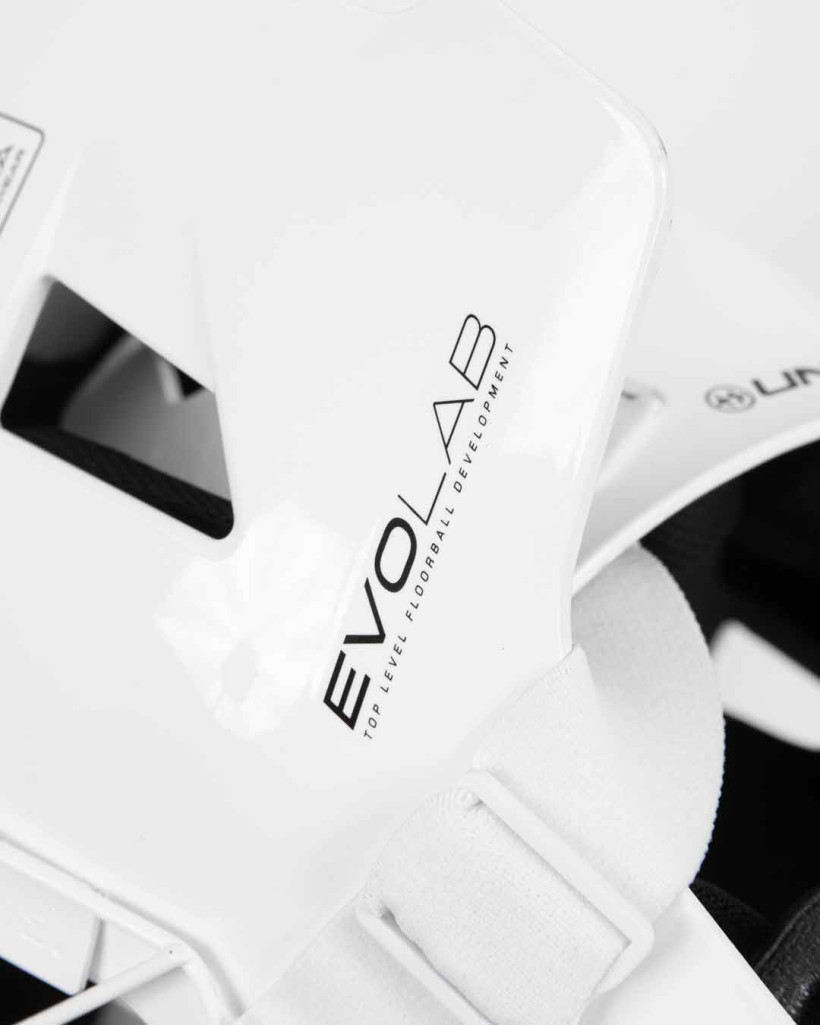 MASK-ALPHA-PRIME-EVOLAB