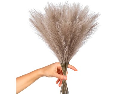 Umělá pampová tráva hnědé rákosové ozdobné peří 20 ks