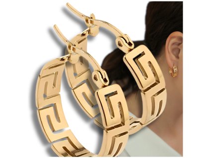 Zlacené chirurgické ocelové náušnice - prořezávaná kolečka