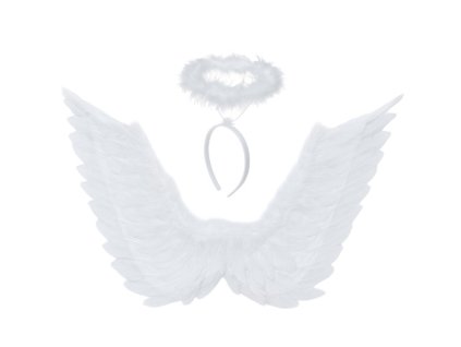 Andělská křídla 2 kusy 70 x 45 cm Ruhhy 26481