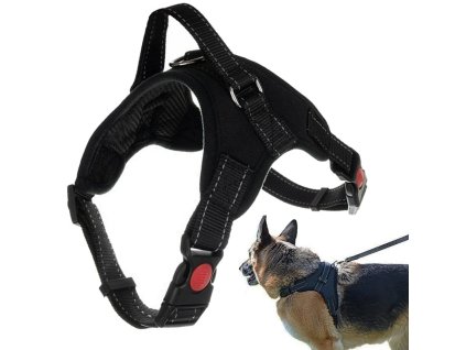 Robustní, beztlakový postroj pro psy zvládne lehkou l