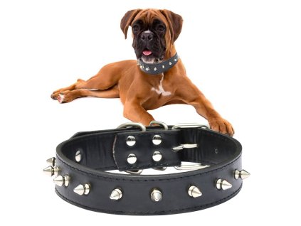 Obojek pro psy s cvočky z ekokůže nastavitelný l