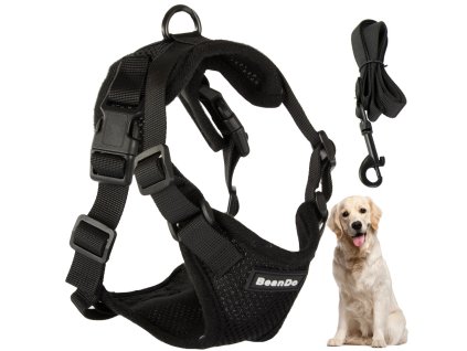 Postroj bez tlaku postroj pro venčení psů rukojeť lehká měkká silná spona xl