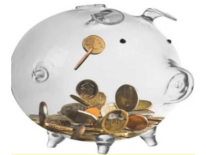 MALÁ POKLADNIČKA PRASÁTKO (36)