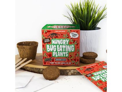 Grow KIT - Masožravka Hungry bug eating plants