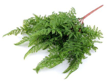 Umělé kapradí 2. jakost