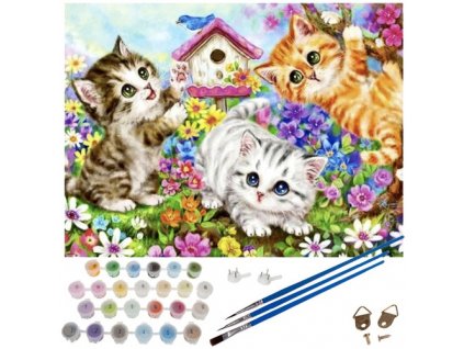Malba podle čísel na plátně s dřevěným rámem - Kočka, vícebarevné, 40x50 cm