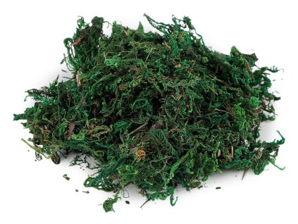 Dekorační mech 25 g
