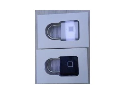 ELEKTRONICKÝ ZÁMEK (100)