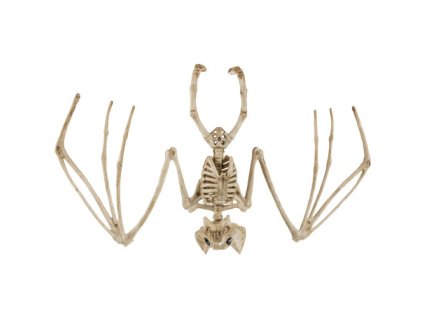 Kostra netopýra - dekorace 30cm Malatec 22005