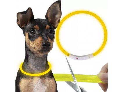 LED Obojek pro psy s nastavitelnou velikostí, žlutý, PVC, 70x1.2 cm