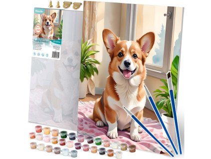 Malba podle čísel 40x50 cm Massido Corgi pes