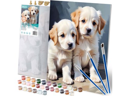 Malba podle čísel 40x50 cm Massido Puppies