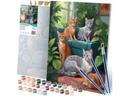 Malba podle čísel 40x50 cm Massido Cats