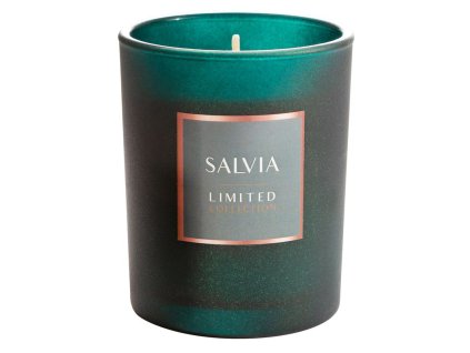 Vonná svíčka Salvia s dřevitě-bylinně-námořní vůní v dekorativním skle 200g LIMITED COLLECTION Eurofirany
